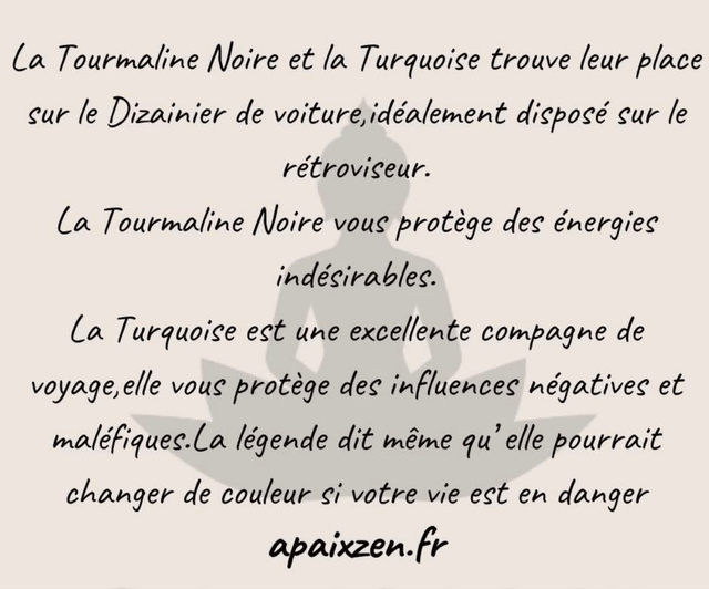 Dizainier de Protection Voiture